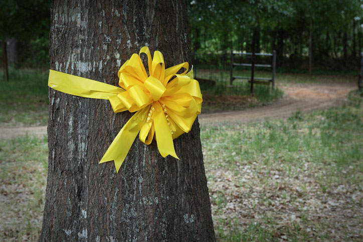 yellow ribbon on a tree